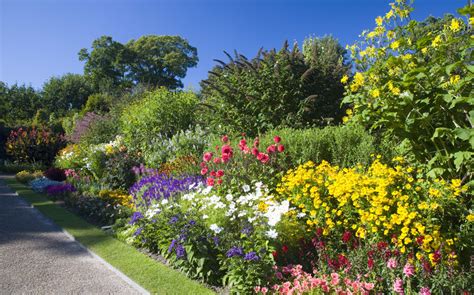 Un jardin printanier avec des arbres en fleurs, symbolisant la mélancolie et le souvenir