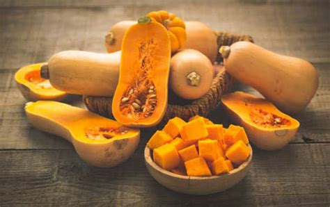 Diagramme comparatif des différentes variétés de Butternut (Waltham, Early, Honeynut)