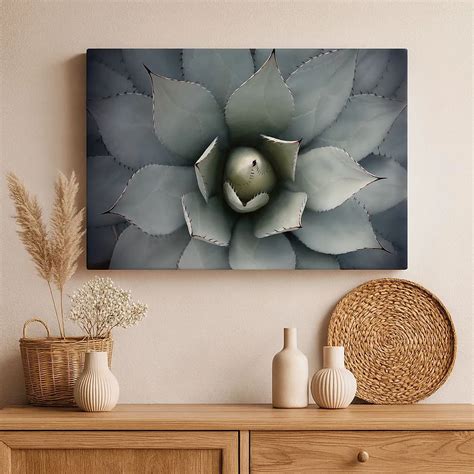 Gros plan sur une rosette de succulente aux tons pourpres