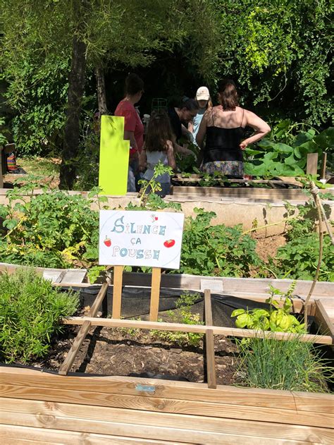 Groupe en apprentissage dans un jardin partagé