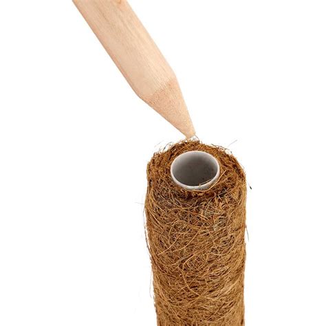 Schéma illustrant une plante grimpante fixée à un tuteur en fibre de coco avec des racines aériennes s'ancrant dans les fibres