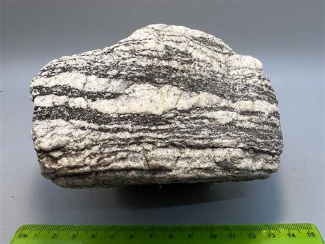 Blocs de gneiss dans la forêt de Magic Wood