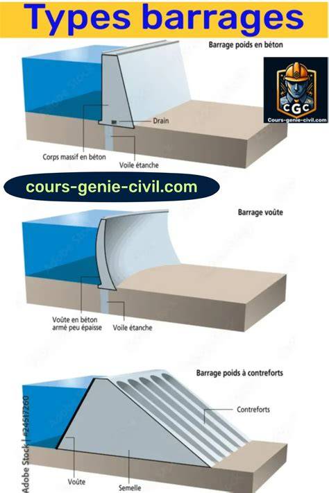 Schéma explicatif des différents types de têtes de coupe et leur utilisation sur le corps du chien