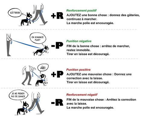 Photo illustrant un maître pratiquant le renforcement positif lors d'une balade