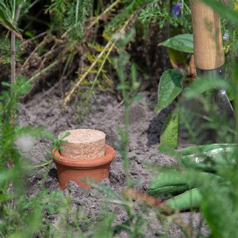Schéma explicatif du fonctionnement d'une olla en terre cuite pour l'arrosage automatique