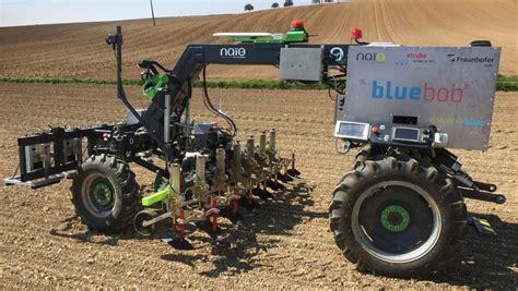 Le robot BlueBob 2.0 en action dans un champ de betteraves