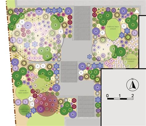Plan de plantation et mise en valeur esthétique du miscanthus dans un jardin contemporain