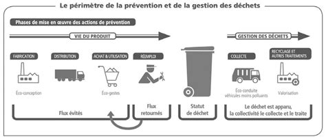 Infographie comparant les méthodes de prévention (scellement, nettoyage, gestion des déchets)