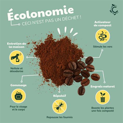 Illustration montrant le marc de café récupéré après filtration
