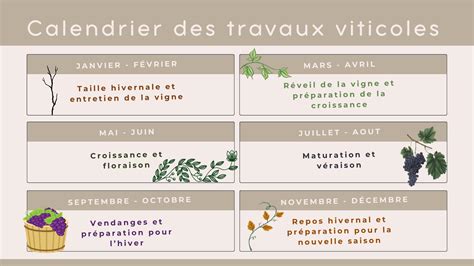 Calendrier des travaux viticoles par saison