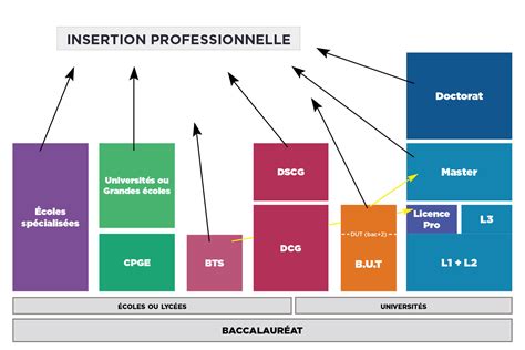 Diagramme des différentes formations professionnelles en viticulture