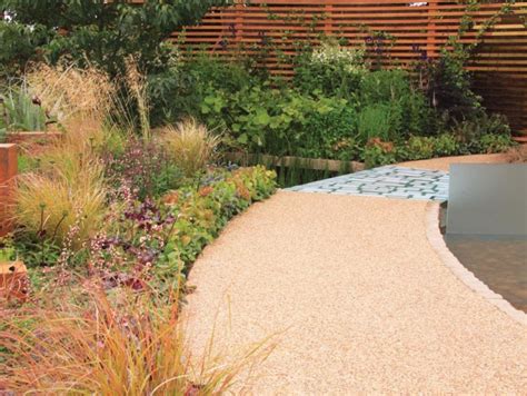 Jardin moderne avec diverses plantes succulentes et gravier décoratif