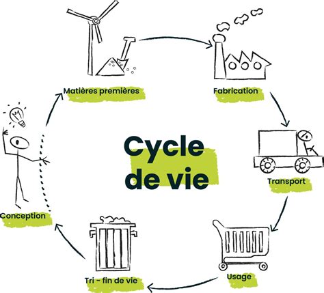 Infographie montrant le cycle de vie du lierre et les périodes idéales pour l'intervention