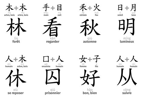 Calligraphie du caractère chinois 梅