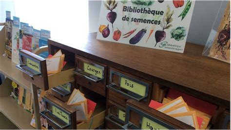 bibliothèque de semences