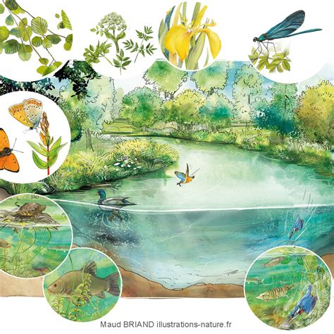 Illustration de la nature imitant les écosystèmes