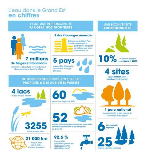 infographie sur les besoins en eau et en lumière des succulentes