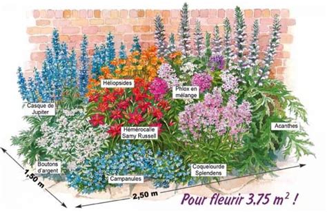 Schéma d'un massif de fleurs vivaces à faible entretien