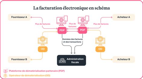 Schéma explicatif du fonctionnement d'une AMAP et du flux de produits