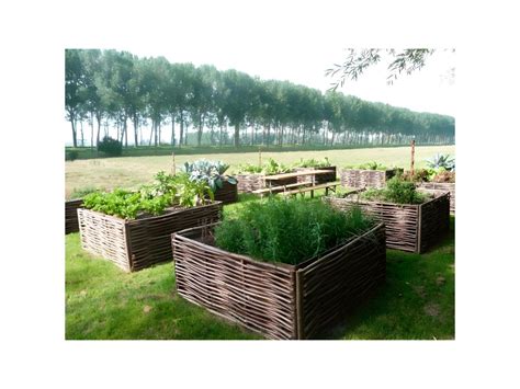 Un potager carré en noisetier tressage horizontal installé dans un jardin ensoleillé