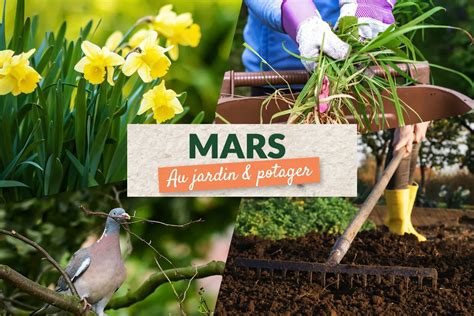 Réveil du jardin au mois de mars