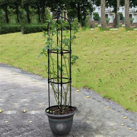 Outils de taille pour plantes grimpantes
