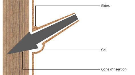 Diagramme montrant les points de coupe sur une branche de bonsaï
