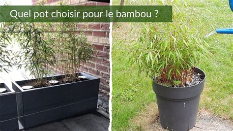 Schéma de coupe d'un pot de bambou avec couche de drainage et paillage