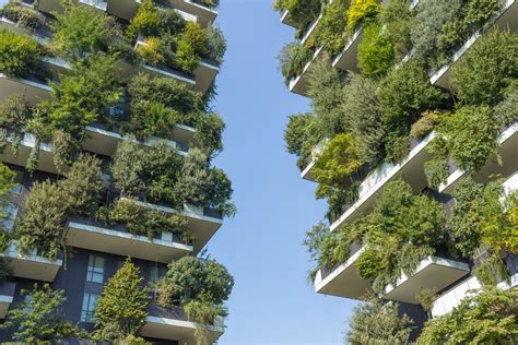 Mur végétalisé en lierre dans un jardin urbain