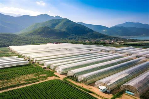 paysage agricole diversifié avec serres de maraîchage et champs cultivés