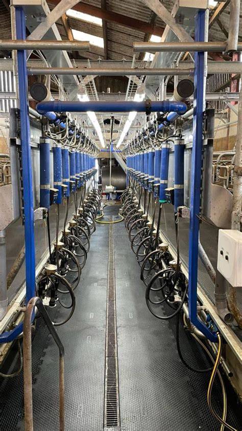 installation moderne de salle de traite avec équipements automatiques