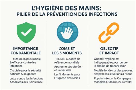 importance de l'hygiène du terrarium pour les serpents