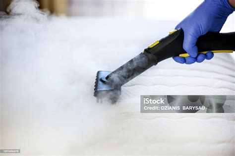 désinfection du terrarium à la vapeur