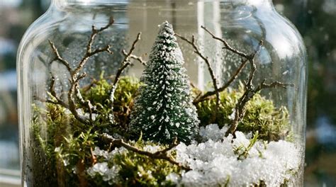 nettoyage des branches et décors du terrarium