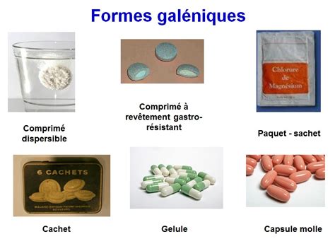 Schéma illustrant les différentes formes galéniques du prunier d'Afrique : gélules, poudre et teinture mère
