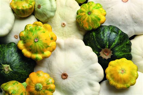 Le pâtisson : un légume en forme de soucoupe au jardin