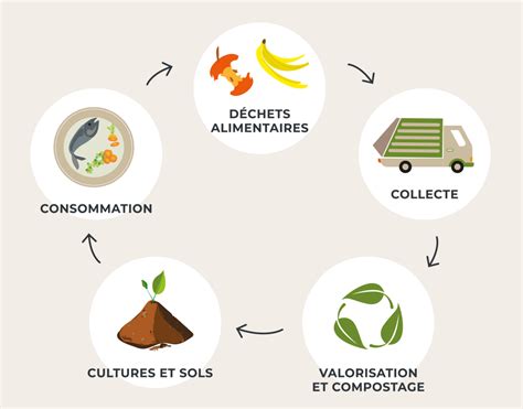 Schéma illustrant le cycle de tri des déchets alimentaires dans une ville