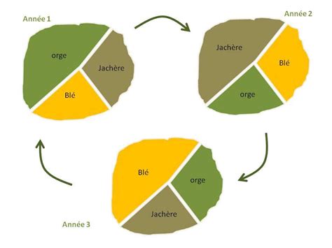 Schéma illustrant le cycle de dégradation des sols : de l'assolement triennal à la monoculture céréalière et au surpâturage