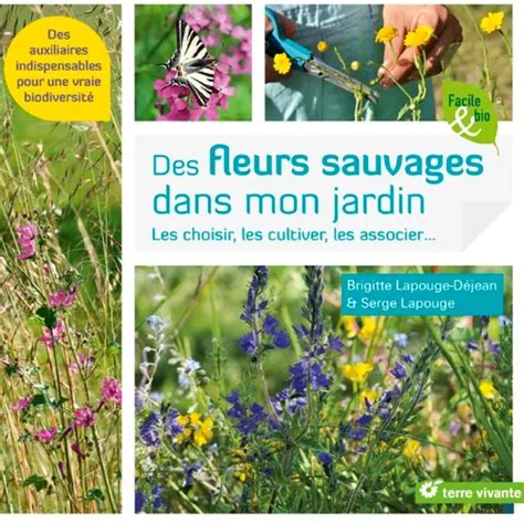 Jardin biodiversifié avec des fleurs sauvages et des insectes