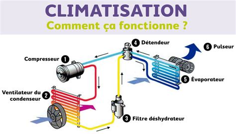 Schéma explicatif montrant le fonctionnement d'un rouleau de scarification avec lames versus un rouleau d'aération avec griffes