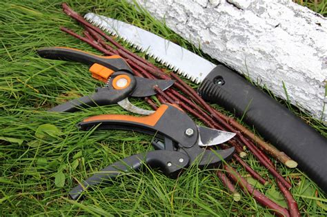 Outils d'élagage modernes et techniques de coupe