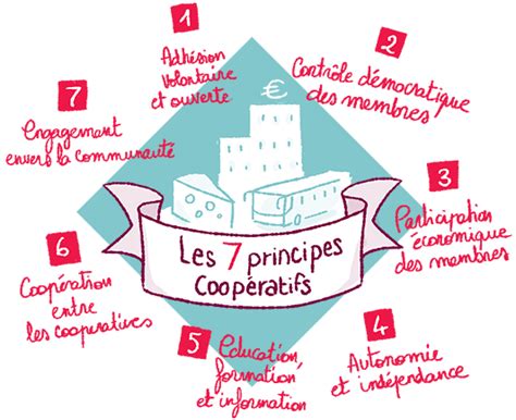schéma de fonctionnement d'une coopérative de services à la personne