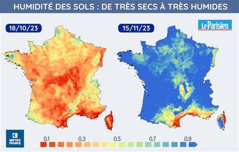 Graphique montrant l'évolution de l'humidité du sol avec et sans paillage