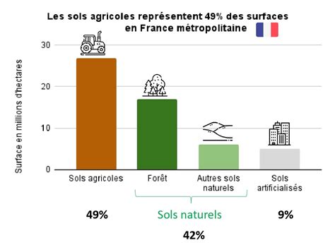 Schéma illustrant la réduction des surfaces agricoles à la Robertsau entre 1927 et nos jours