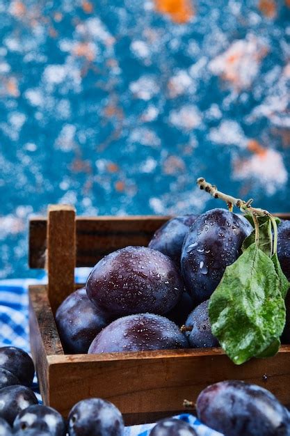 Panier rempli de prunes fraîches tout juste récoltées