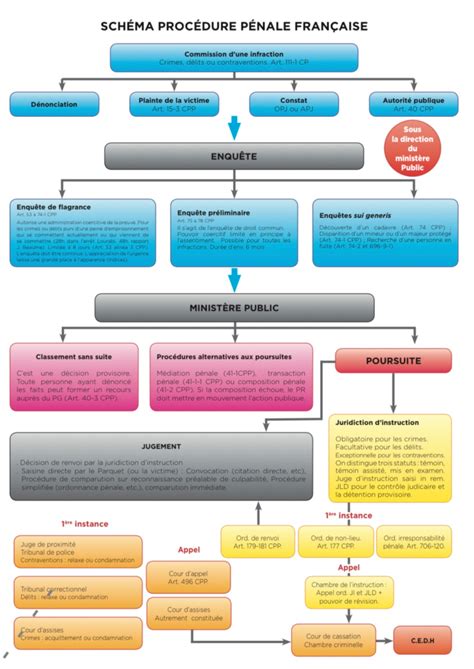 Schéma explicatif de la procédure Vitiplantation