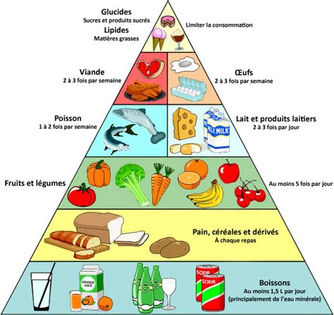 Schéma illustrant les besoins nutritionnels des pommiers selon les saisons