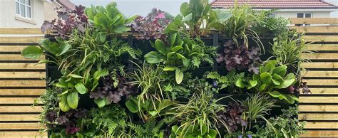 jardin vertical avec diverses plantes