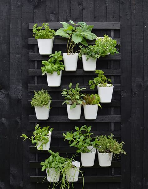matériaux nécessaires pour un jardin vertical DIY