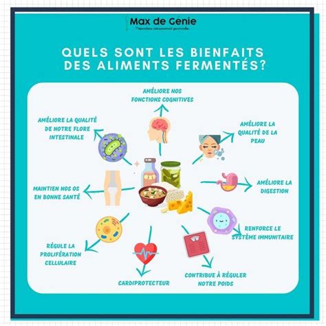 Infographie comparant les bactéries bénéfiques dans divers aliments fermentés (yaourt, kéfir, levain)